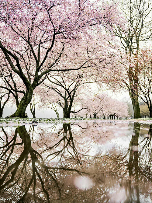 変わらなくて良い、「すでにある」ものを思い出す