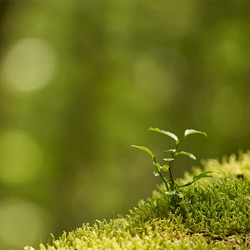 自分との関係を築き直す